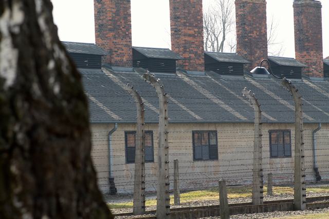Auschwitz2015_04